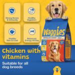 Adult Dog Dry Food 1 kg, Chicken with Vitamins, Balanced Diet for Adult Dogs, Promotes Digestive Health, Healthy Skin & Coat, Strong Muscles, for All Breeds & Sizes - Image 4