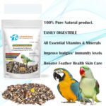 Jainsons Pet Products Bird Food for All Birds 400g – 11 Seed Mix for Budgies, Parrots, Sparrows | Small Bird Food Feeder Bowl Friendly | Ideal for Balcony Feeders - Image 3