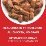 Drools Adult Wet Dog Food 10 Pouches + 2 Pouches Free (12 x 60g) | Real Chicken and Chicken Liver Chunks in Gravy | Healthy Skin and Coat | Maintains Joint Health | Better Digestibility and Health - Image 5
