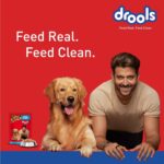 Drools Adult Wet Dog Food 10 Pouches + 2 Pouches Free (12 x 60g) | Real Chicken and Chicken Liver Chunks in Gravy | Healthy Skin and Coat | Maintains Joint Health | Better Digestibility and Health - Image 8