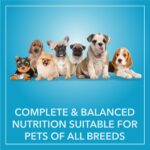 Purepet Puppy Dry Dog Food 1 kg Pack | Chicken & Vegetable Flavour | Hair Ball Protection | Heart Care | Skin Health | Taurine for Healthy Heart - Image 4