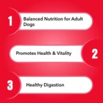 Purepet Adult Dry Dog Food 10kg | Meat & Rice Flavour | Promotes Health & Vitality | Immune Support | Healthy Digestion | Nutrient Rich - Image 3