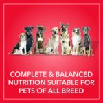 Purepet Adult Dry Dog Food 10kg | Meat & Rice Flavour | Promotes Health & Vitality | Immune Support | Healthy Digestion | Nutrient Rich - Image 4