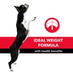 Purepet Adult Dry Dog Food 10kg | Meat & Rice Flavour | Promotes Health & Vitality | Immune Support | Healthy Digestion | Nutrient Rich - Image 6