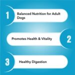 Purepet Adult Dry Dog Food 1 kg Pack | Chicken & Vegetable Flavour | Hair Ball Protection | Heart Care | Skin Health | Taurine for Healthy Heart - Image 3