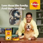 Pedigree Adult Wet Dog Food, Chicken & Liver Chunks in Gravy, 130 g (Pack of 12), Complete & Balanced Meal for Adult Dogs - Image 3