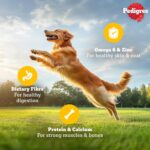 Pedigree Adult Wet Dog Food, Chicken & Liver Chunks in Gravy, 130 g (Pack of 12), Complete & Balanced Meal for Adult Dogs - Image 5