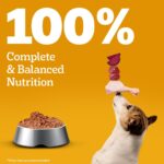 Pedigree Adult Wet Dog Food, Chicken & Liver Chunks in Gravy, 130 g (Pack of 12), Complete & Balanced Meal for Adult Dogs - Image 9