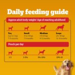 Pedigree Adult Wet Dog Food, Chicken & Liver Chunks in Gravy, 130 g (Pack of 12), Complete & Balanced Meal for Adult Dogs - Image 15
