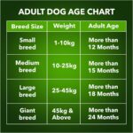 Meat Up Adult Dry Dog Food 3kg + 3kg (Free) 6kg | 100% Vegetable | Buy 1 Get 1 | Healthy Skin and Beautiful Coat | Antioxidants | Vitamins and Minerals - Image 5