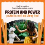 Kennel Kitchen All Life Stages Soft Baked Chicken Stick Treats for Dogs, 100g (Pack of 1) - Image 7