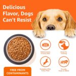 Amazon Basics Dry Dog Food | 5 Kg | Chicken & Rice | with Real Chicken Meat | Kibble for Adult Dogs | Packed with Protein | Suitable for All Breeds - Image 6