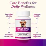 Petroyale Daily One, All-in-One Supplement for Dogs – Dog Multivitamin + Probiotics + Omega 369 – Hip & Joint, Skin & Coat, Gut Health – Soft Chew Dog Everyday Supplement for Dogs (30 Chew) - Image 4