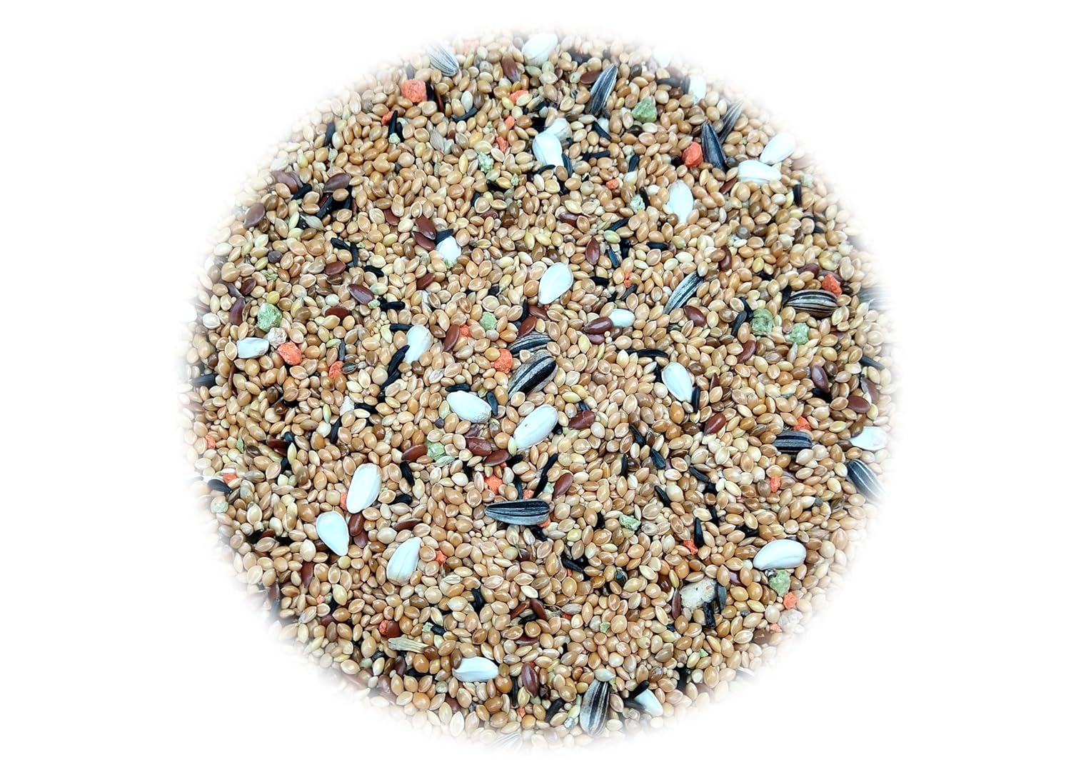 JiMMy Pet Products Budgie Food Panchee Pick Birds Food for Budgies 1.2kg, All Life Stages, Granule - Image 3