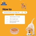 Dr.Pets Fish Bone Broth for Cats & Dogs (100ml X 4 Pack) Food Topper, Human Grade Preservative Free, Cat/Dog Wet Food Soup for All Life Stages, Natural Supplements with Natural Collagen. - Image 4