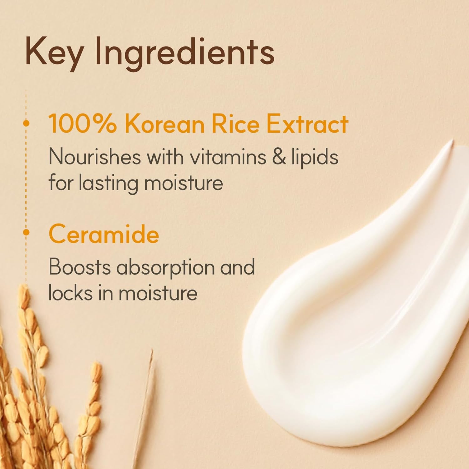 The Face Shop Rice & Ceramide Moisturizing Cream with Rice Extracts for Skin Brightening | Ceramide Moisturizer For Skin Barrier Repair | Paraben & Paraffins Free, Korean skin care products, 50ml - Image 4