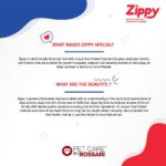 Zippy Adult Dry Dog Food - 1.2 Kg, Real Chicken & Vegetables, Nutritionally Balanced Dog Food for All Breeds, with Vitamins, Minerals, Probiotics & Salmon Oil - Image 7