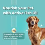 BARK OUT LOUD - Multivitamin Dog Treats, Fresh Chicken Immunity Chewstix with Omega & Zinc to Boost Health & Vitality for Dogs & Cats of All Life Stages - 100g (Pack of 1) - Image 6