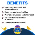 Drools All Life Stages Cat Biscuit 110g Jar | Chicken Flavour | Dental Health | Lustrous Shiny Coat | Vitamins & Minerals - Image 3