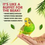 PETOSKA Blended Seeds | Bird Food Mix for for Cockatiel and Lovebirds | Natural Ingredients | Balanced Food for Young & All Age Group | Balanced & Nutritious Bird Food | 450 GMS - Image 5