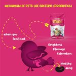 Petslife Mini Hand Feeding Formula for All Baby Birds, 180g | Baby Bird Feeding Formula - Image 6