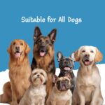 Fullr Dental Care Dog Treats | Soft & Chewy Sticks with Rosemary & Fennel | Supports Oral & Gum Health | Reduces Plaque & Tartar| Freshens Breath | Healthy Treats for All Breeds & All Life Stages, 70g - Image 7