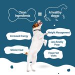 BLEP Chicken Rice Natural Dog Food 700g (7 Pak of 100g) | Zero Preservatives|Aids Joint Health & Digestion|Collagen Rich| Human Grade, Natural Wet Dog Food|Ideal for All Breeds - Image 6