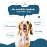 BLEP Chicken Rice Natural Dog Food 700g (7 Pak of 100g) | Zero Preservatives|Aids Joint Health & Digestion|Collagen Rich| Human Grade, Natural Wet Dog Food|Ideal for All Breeds - Image 8