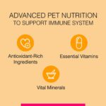 Canine Creek Club Ultra Premium Dry Dog Food for All Life Stages, 10kg Pack - Image 5