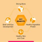 Canine Creek Club Ultra Premium Dry Dog Food for All Life Stages, 10kg Pack - Image 6