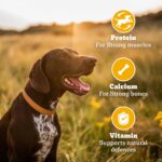 Pedigree Biscrok Biscuits (Above 4 Months) Dog Treats, Chicken Flavour, 900 g, Source of Calcium, Goodness of 15% Protein - Image 4