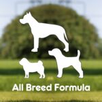 Purepet Dog Treat Chew Bones 10.6Cm 10g Pack of 4 Bones | Active behaviour | Oral Health |Training and Behaviour | Helps Controls Tartar Build Up and Keeps Plaque Away | All Breed Formula - Image 6