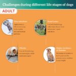 Himalaya Healthy PET Food for Adult Dogs | Meat & Rice | 3kg | Complete & Balanced Nutrition with Mountain Knot Grass, Tree of Heaven & Guduchi - Image 5