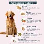 Fresh Wet Dog Food Vegan and Nutritionally Complete | for Sensitive stomachs | Human-Grade Ingredients | High-Protein Recipe for Active Dogs (Pack of 2, NO-Chicken Feast),All Life Stages - Image 4