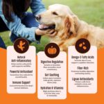 Kennel Kitchen Soft Baked Lamb with Pumpkin Sticks Treats for Dogs, 100g (Pack of 1) | Soft Dog Chew Sticks | Dog Treats for Adult Dogs and Puppies - Image 6