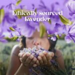 Love Beauty And Planet Organic Argan Oil & Lavender Paraben-Free|| Instant Frizz Control Serum|| No Dyes|| No Mineral Oil 50ml - Image 7