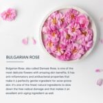 Lotus Professional DermoSpa Bulgarian Rose Glow & Brightening Enhancing Face Wash | Bulgarian Rose | Preservatives free | 80g - Image 3