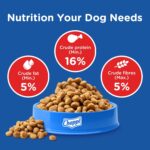 Chappi Adult (1+ Years) Dry Dog Food, Chicken & Rice, 2.8 kg, Complete and Balanced Food for Adult Dogs - Image 4