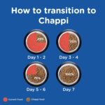 Chappi Adult (1+ Years) Dry Dog Food, Chicken & Rice, 2.8 kg, Complete and Balanced Food for Adult Dogs - Image 10