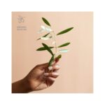 DHC Beauty Deep Cleansing Oil (120ml), with Olives, Removes Makeup And Impurities, Cleansing Oil/Makeup Remover for Soft & Glowing Skin - Image 7