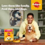 Pedigree Puppy Wet Dog Food, Chicken Chunks in Gravy, 70 g (Pack of 15), Complete & Balanced Meal for Puppies - Image 3