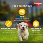 Pedigree Puppy Wet Dog Food, Chicken Chunks in Gravy, 70 g (Pack of 15), Complete & Balanced Meal for Puppies - Image 5