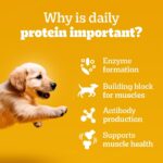 Pedigree Puppy Wet Dog Food, Chicken Chunks in Gravy, 70 g (Pack of 15), Complete & Balanced Meal for Puppies - Image 6