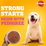 Pedigree Puppy Wet Dog Food, Chicken Chunks in Gravy, 70 g (Pack of 15), Complete & Balanced Meal for Puppies - Image 8