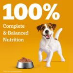 Pedigree Puppy Wet Dog Food, Chicken Chunks in Gravy, 70 g (Pack of 15), Complete & Balanced Meal for Puppies - Image 9