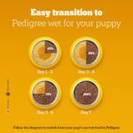 Pedigree Puppy Wet Dog Food, Chicken Chunks in Gravy, 70 g (Pack of 15), Complete & Balanced Meal for Puppies - Image 16