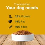 Vegetarian Puppy Dog Food for All Breeds 100% Natural Plant-Based Vegan Dry Kibble for Dogs High Protein and Fiber,Gluten-Free Healthy Complete Nutrition Pack of 2 - Image 6