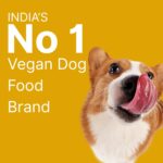 Vegetarian Puppy Dog Food for All Breeds 100% Natural Plant-Based Vegan Dry Kibble for Dogs High Protein and Fiber,Gluten-Free Healthy Complete Nutrition Pack of 2 - Image 7