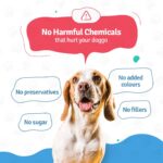 BLEP Chicken Pumpkin Pawer 700g (7 Pack of 100g) - Fresh Dog Food for All Ages|Chicken Breast, Pumpkin, Vegetables, Omega 3 & 6|Grain Free, High Protein, Easily Digestible, Zero Preservative(Wet) - Image 9