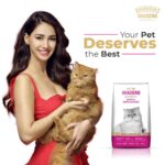 Grain Zero Persian Dry Cat Food 1.2kg | Ocean Fish, Sardine & Mackerel | 48% Fresh Fish Inclusion, No Grain Formula, Gluten- Free, Hairball Control | for Persian & Long Coat Cats, All Life Stages - Image 3